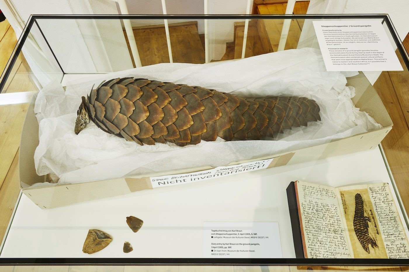 AMANI kukita | kung‘oa © Museen Stade, Photo: Carsten Dammann