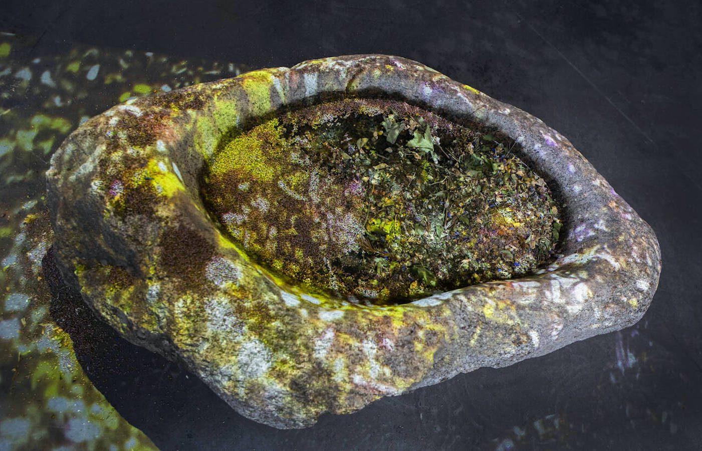 Dineo Seshee Raisibe Bopape: (ka) pheko ye – the dream to come