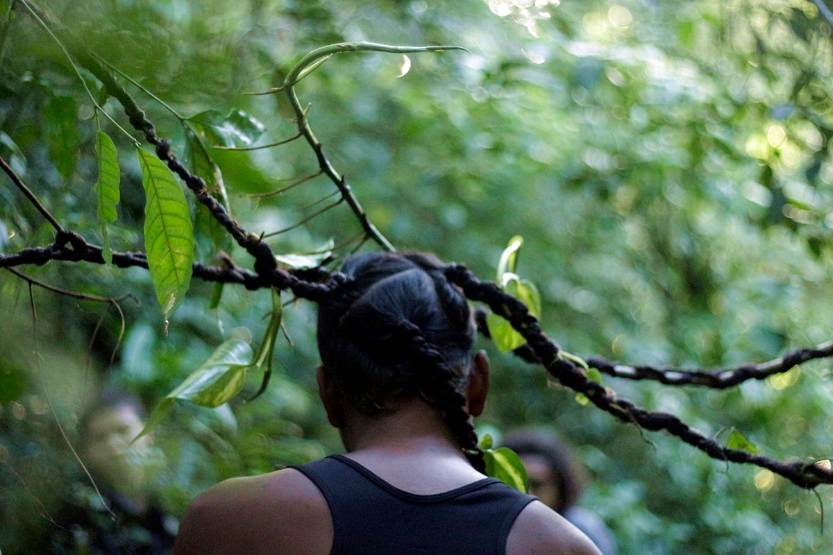 YBYRATYBA, performance in collaboration with Leticia Rocha and trees at the Horto de Niterói garden, 2022. Courtesy of the artist.