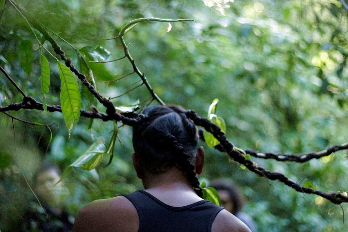 YBYRATYBA, performance in collaboration with Leticia Rocha and trees at the Horto de Niterói garden, 2022. Courtesy of the artist.
