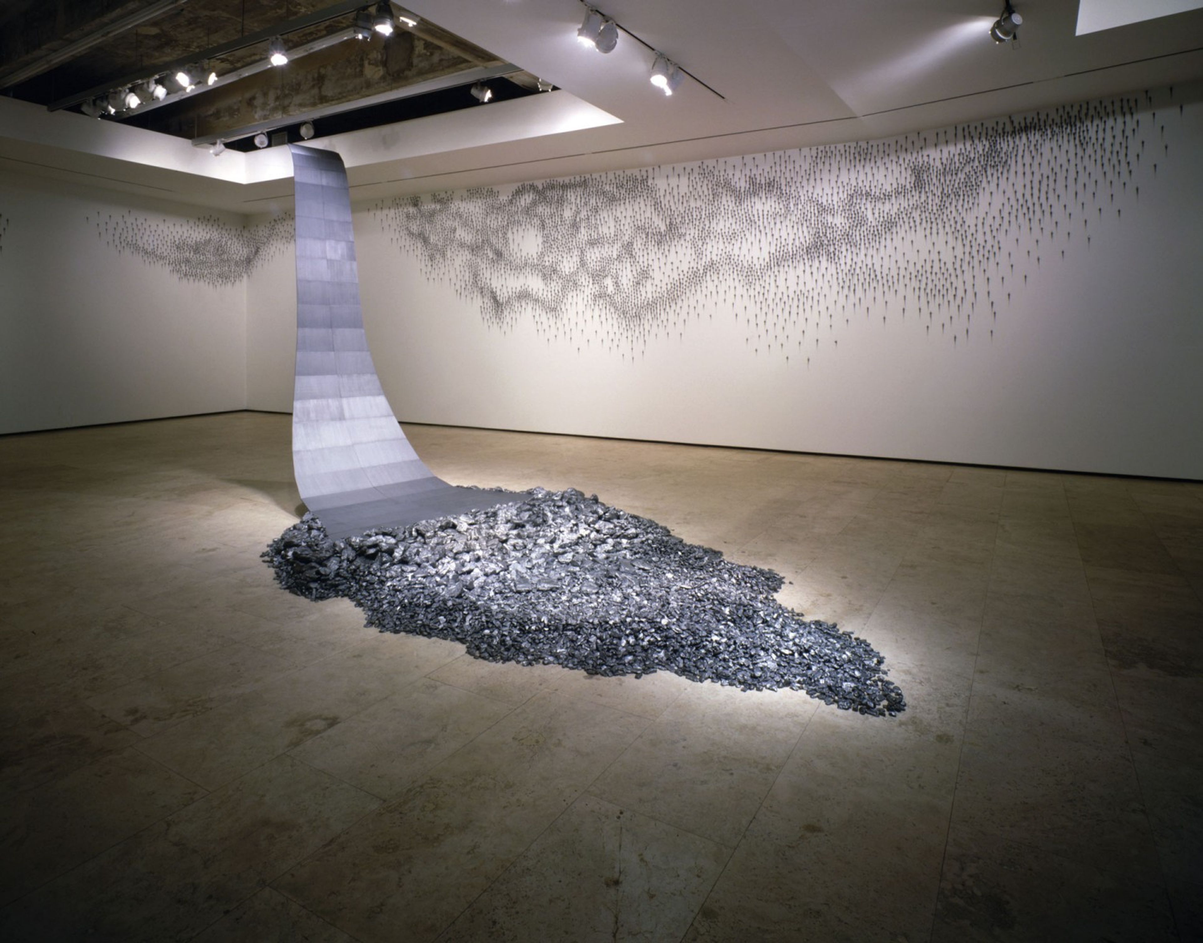 Teresita Fernández: Elemental