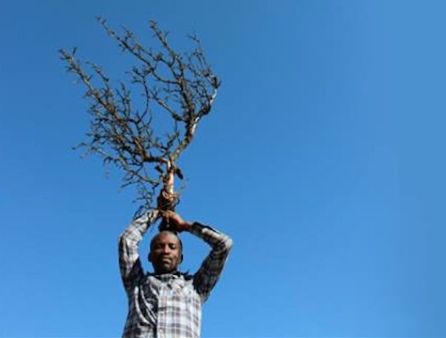 Earth With Trees And Water I Am: Story From Africa - Illustrated talk and Performance by Jelili Atiku