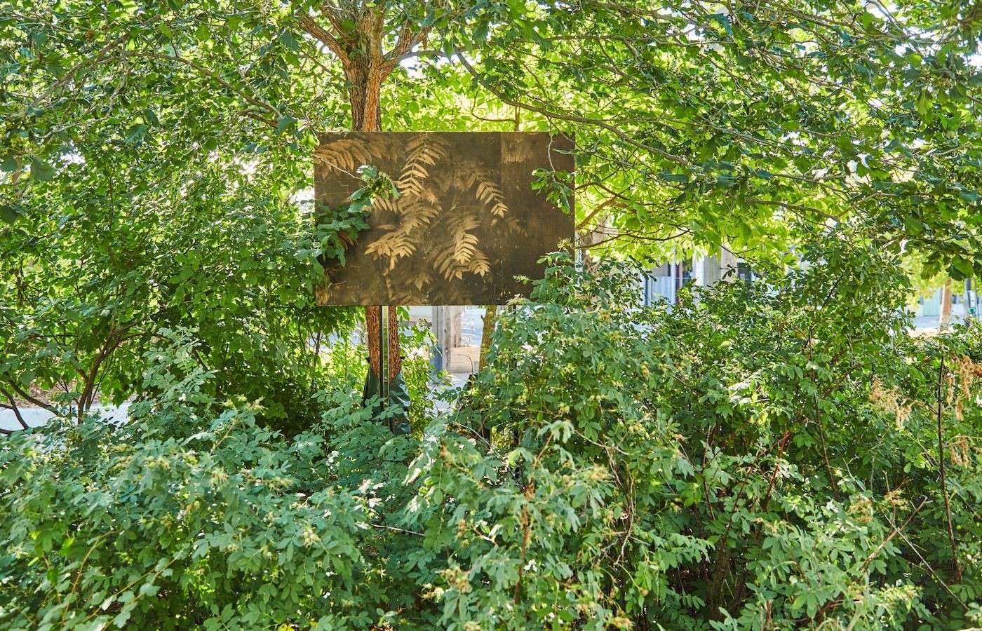 Sandra Brewster: Roots