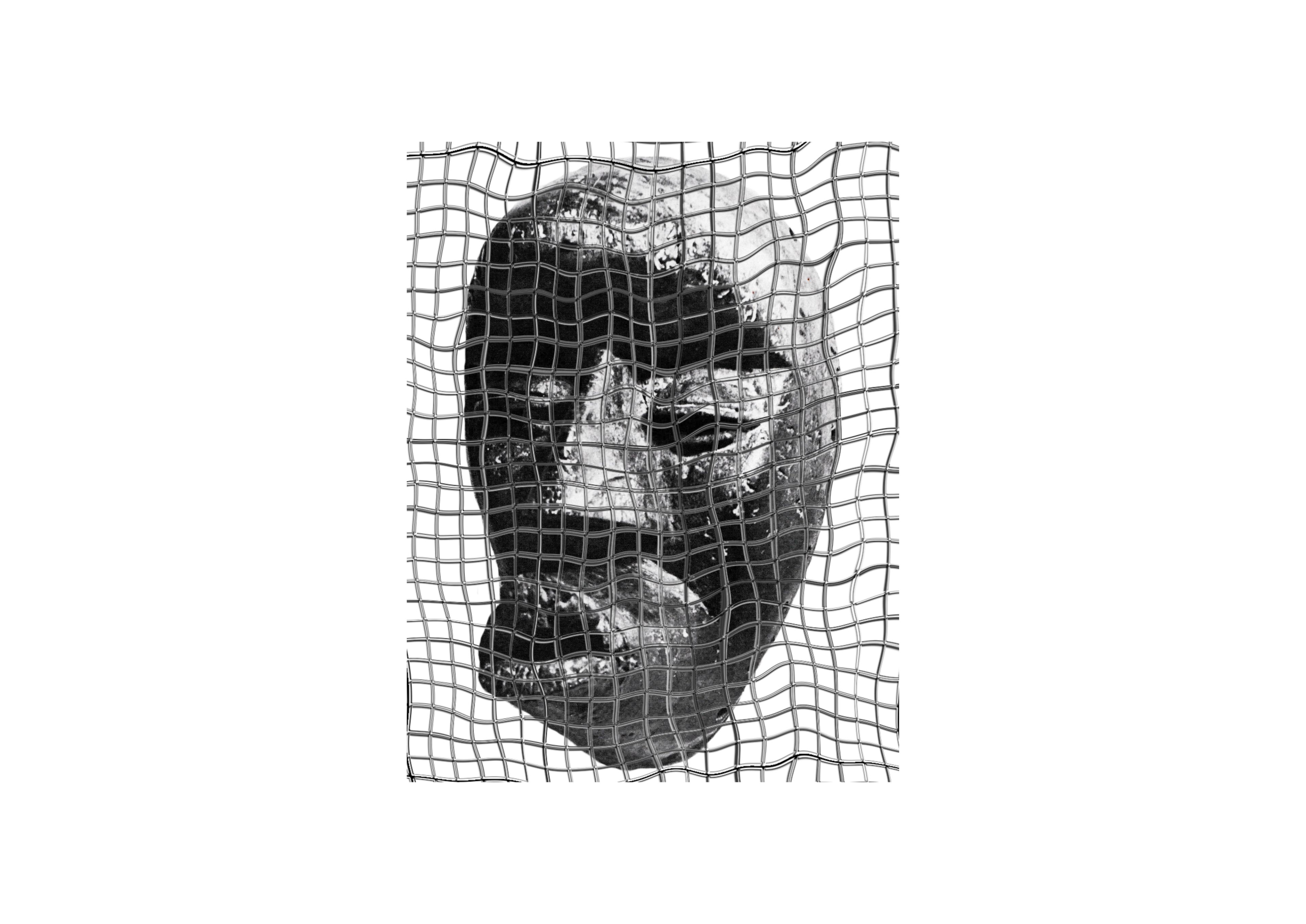 Black and white image of a dark, textured face obscured by a wavy grid.