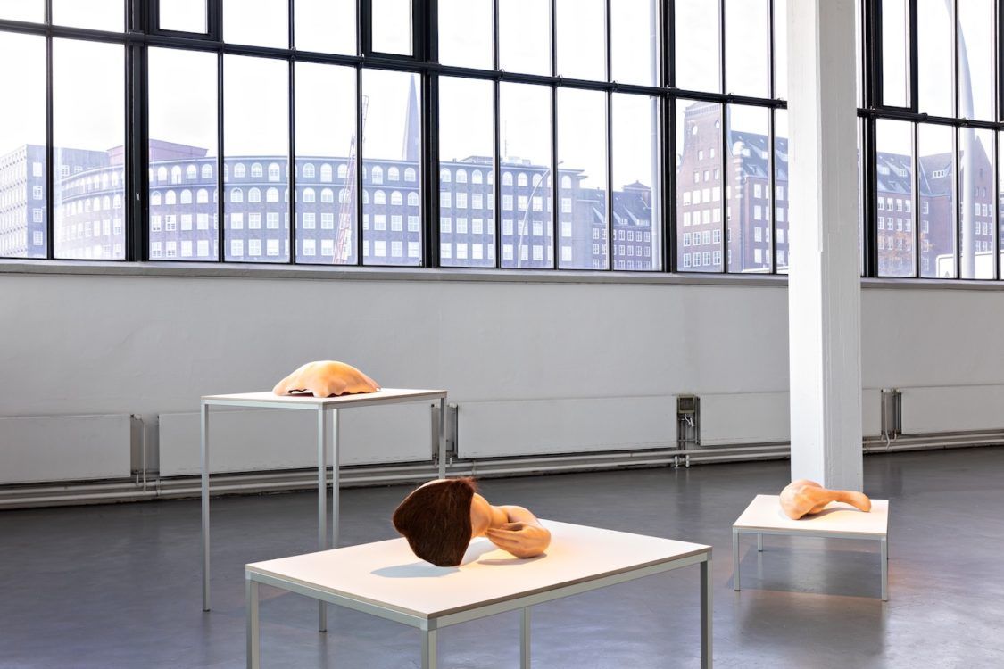 Not Fully Human, Not Human at All, Jelena Jureša, installation view, Kunstverein in Hamburg, 2020, Photo: Fred Dott