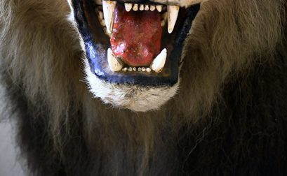 Kapwani Kiwanga: MAJI-MAJI