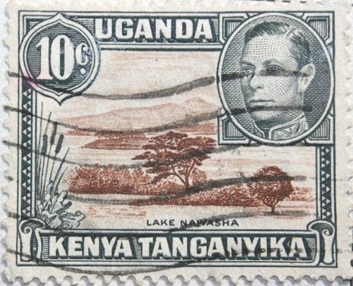 Trans-African Clarity - Contemporary And