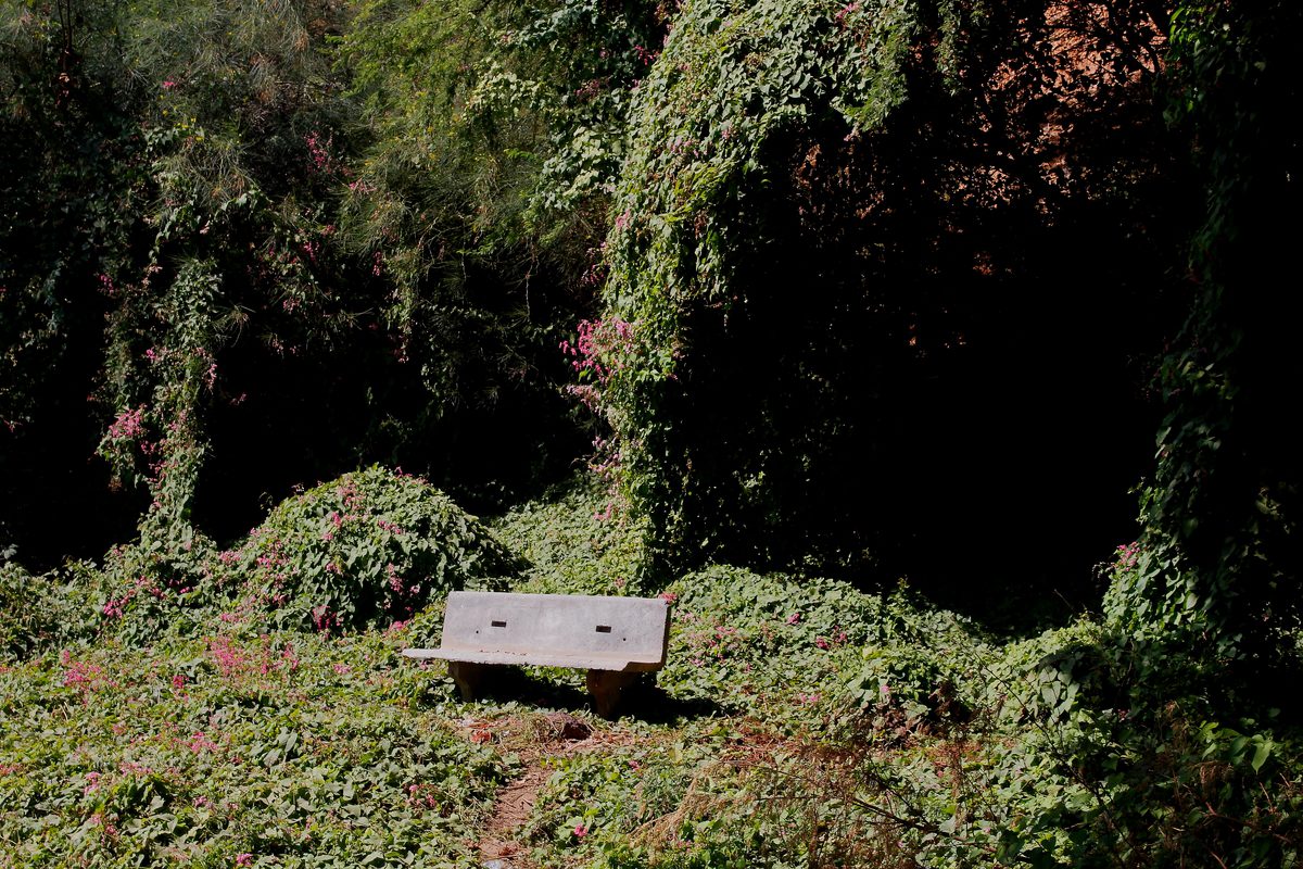 Ibrahima Thiam: D’une rive à l’autre