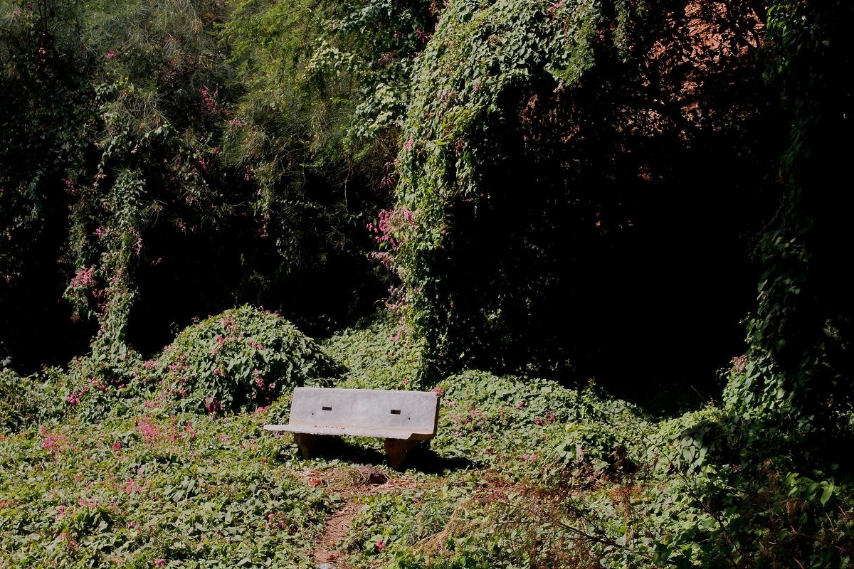 Ibrahima Thiam: D’une rive à l’autre