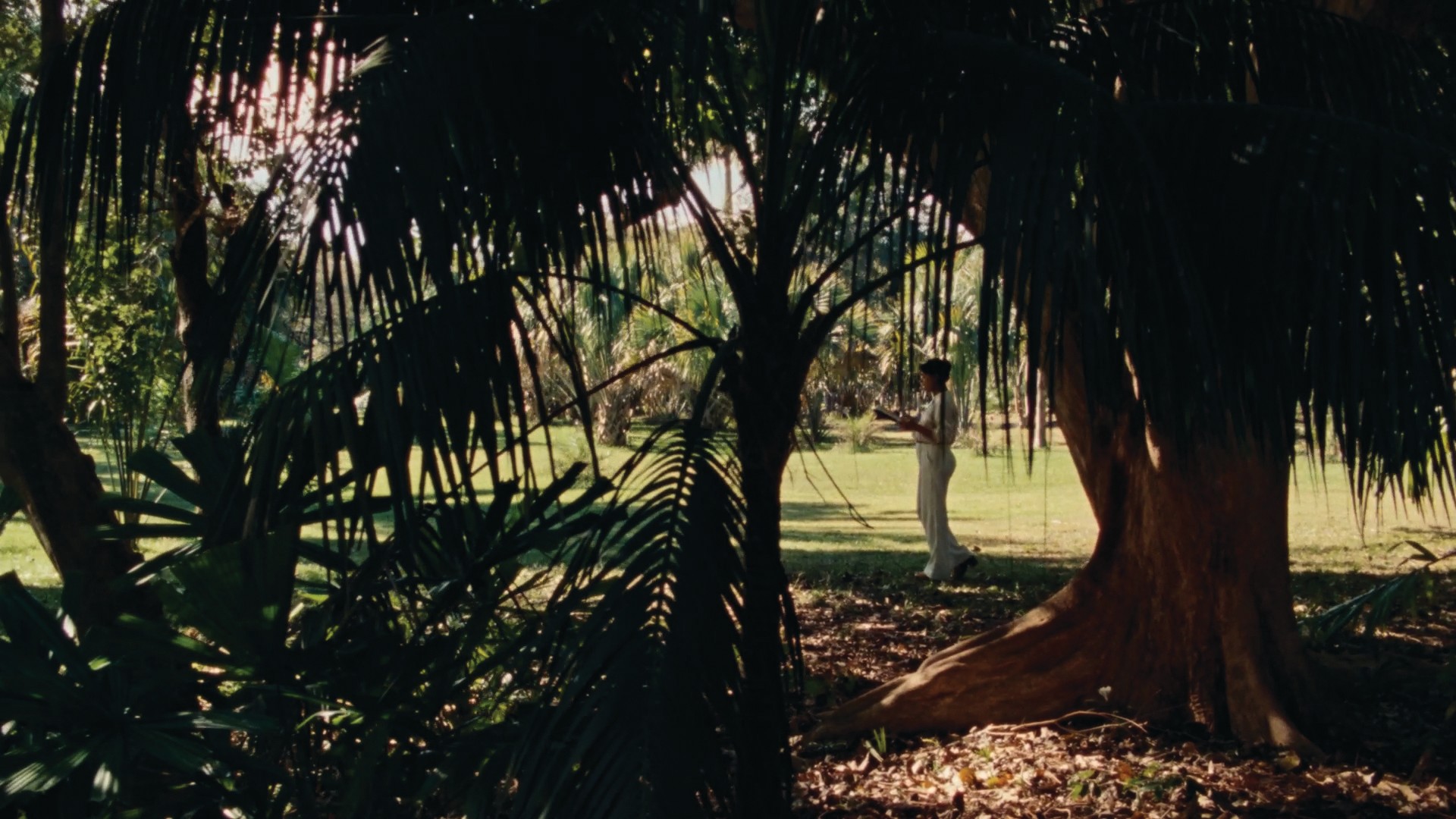 Madeleine Hunt-Ehrlich: Too Bright to See