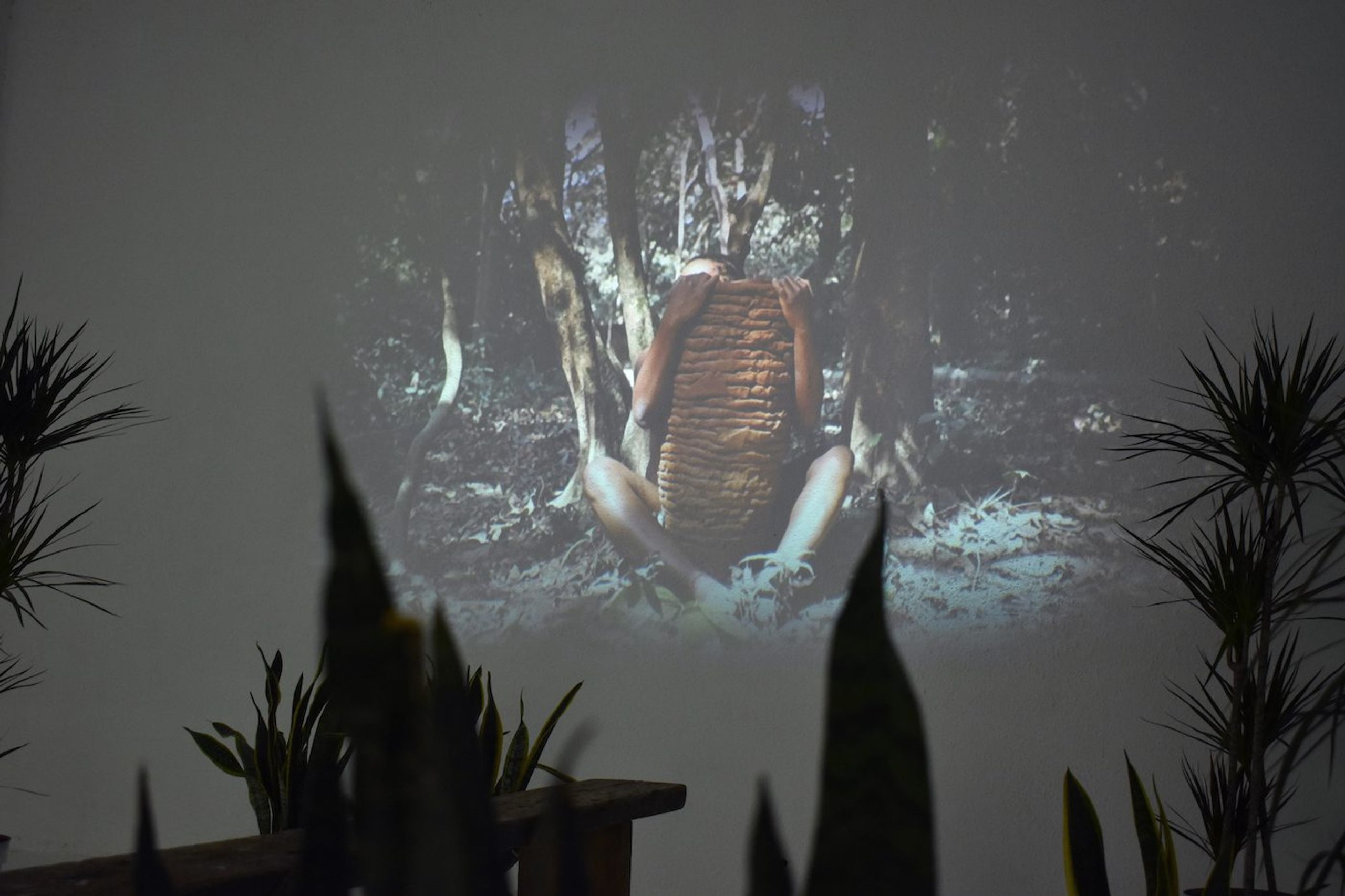 Installation view of "Ranti Bam: Common Ground" at Catinca Tabacaru Gallery in Bucharest. Courtesy of the gallery.