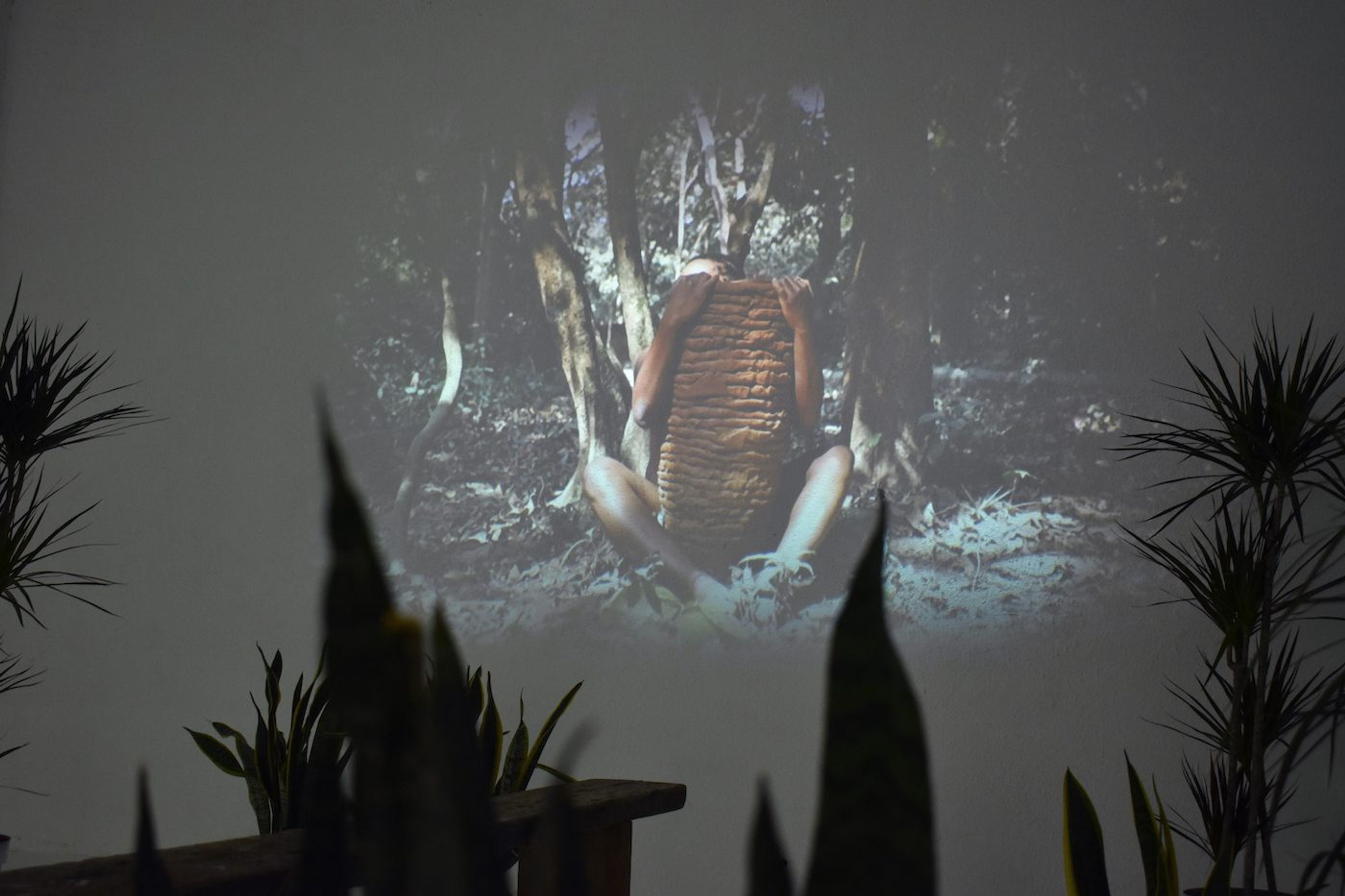 Installation view of "Ranti Bam: Common Ground" at Catinca Tabacaru Gallery in Bucharest. Courtesy of the gallery.