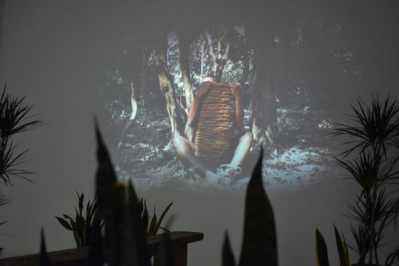 Installation view of "Ranti Bam: Common Ground" at Catinca Tabacaru Gallery in Bucharest. Courtesy of the gallery.