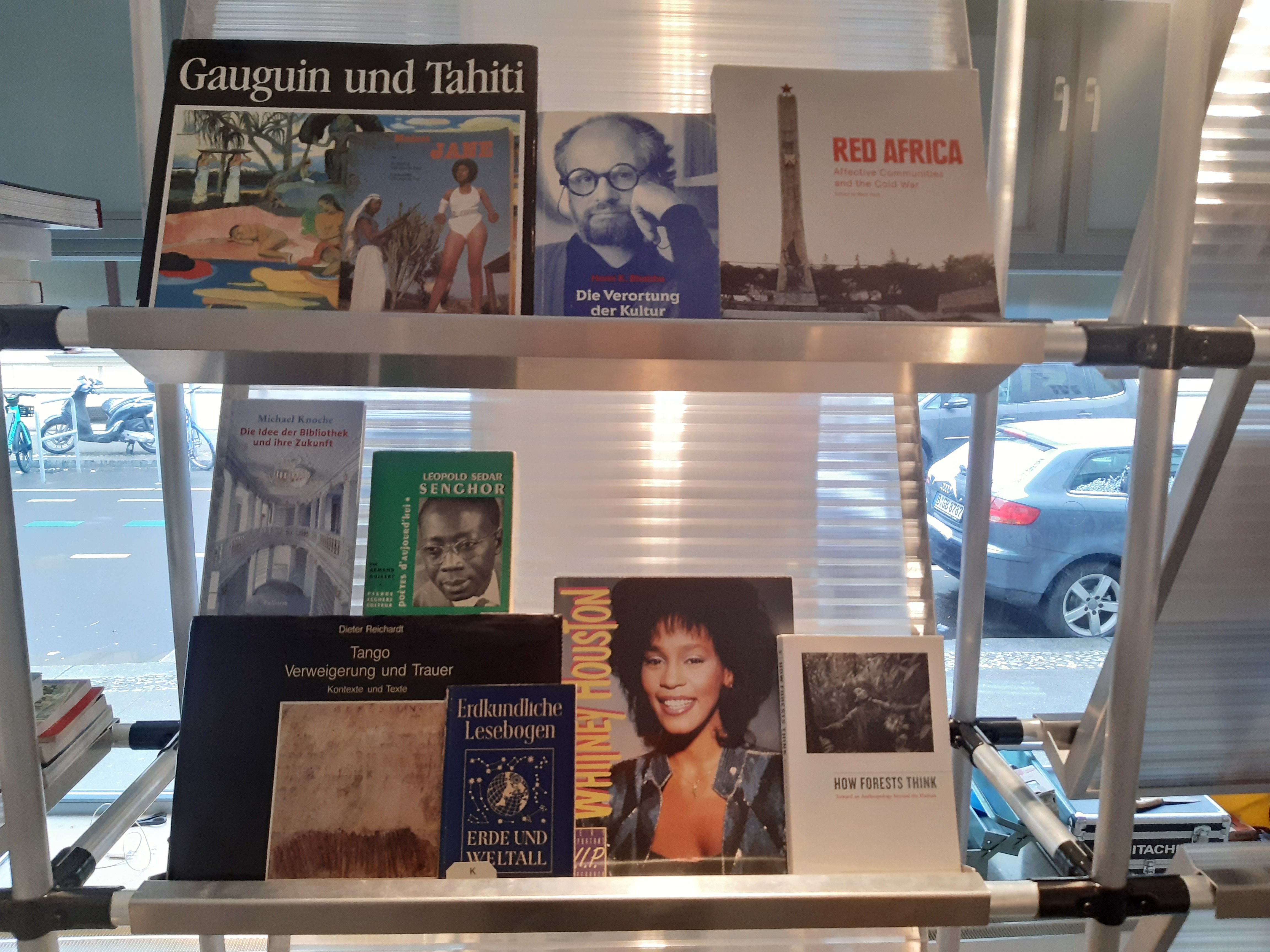 A metal bookshelf filled with diverse books, including "Gauguin und Tahiti," "Red Africa," and "Whitney Houston," with a street visible in the background.