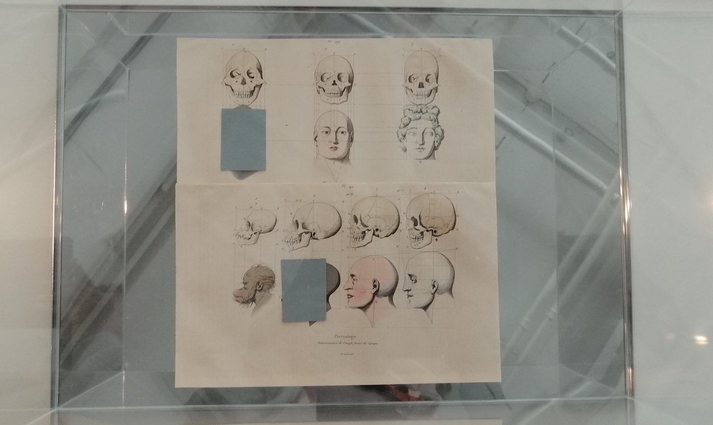 The Black Archives Amsterdam. Installation view at documenta fifteen, 2022. Photo: C&amp;