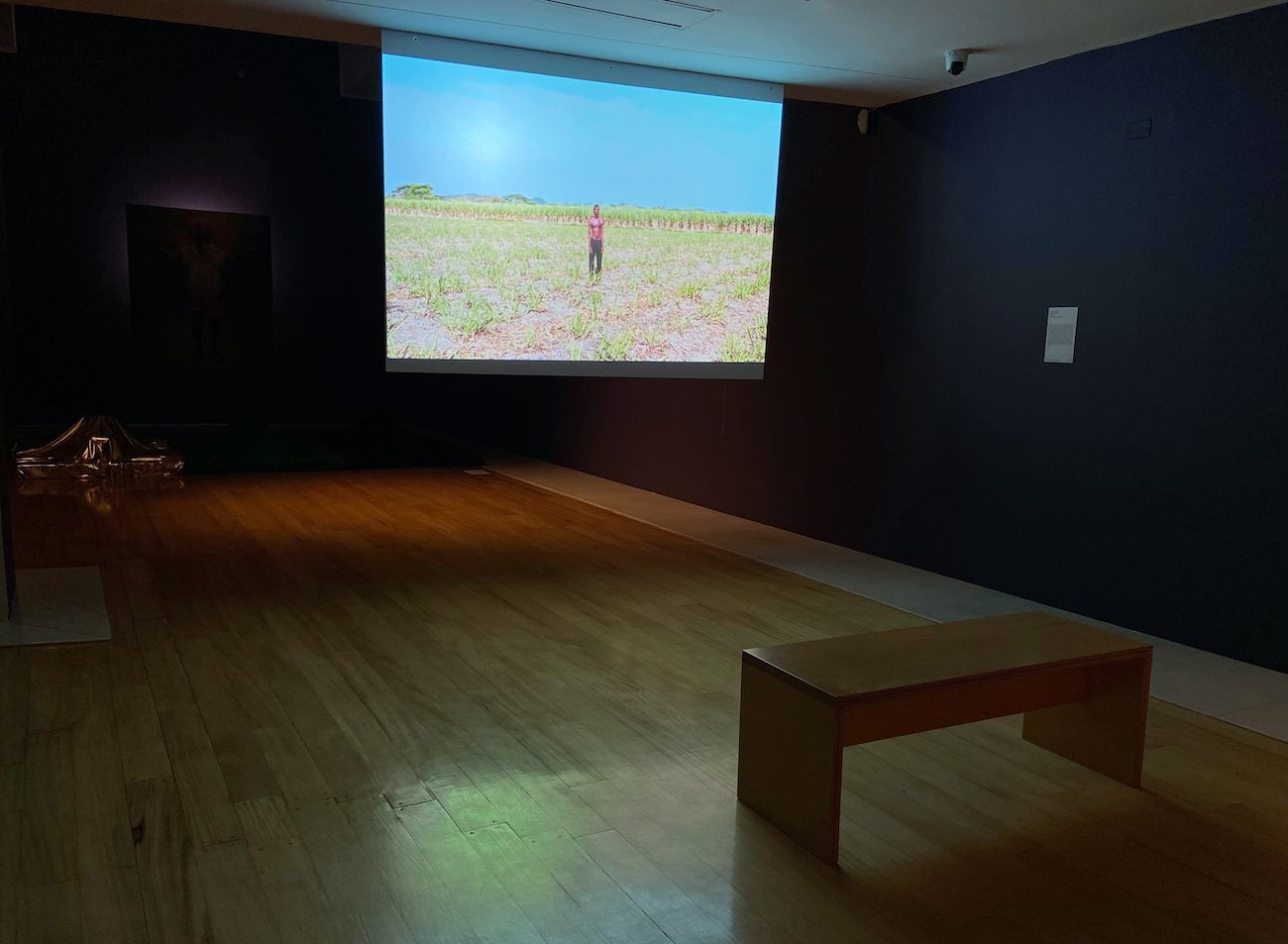 Jean Lucumí, De cara al sol, 2019.