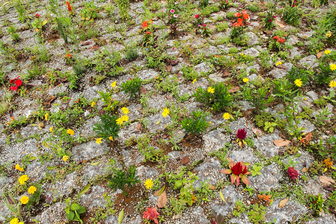 Detail of the work “Nada que é dourado permanece 1 - Hilo” (Nothing gold stays forever, 2020) by Denilson Baniwa, made for the exhibition “Véxoa – We Know.” Photo: promotion.