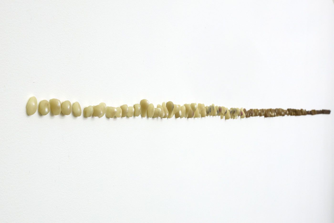 Elisa Berger Melo: Perla en perla (2024). Beeswax with 144 river pearls. Photographer: Leonardo Martínez Hlawacz. Courtesy o PLATABANDA