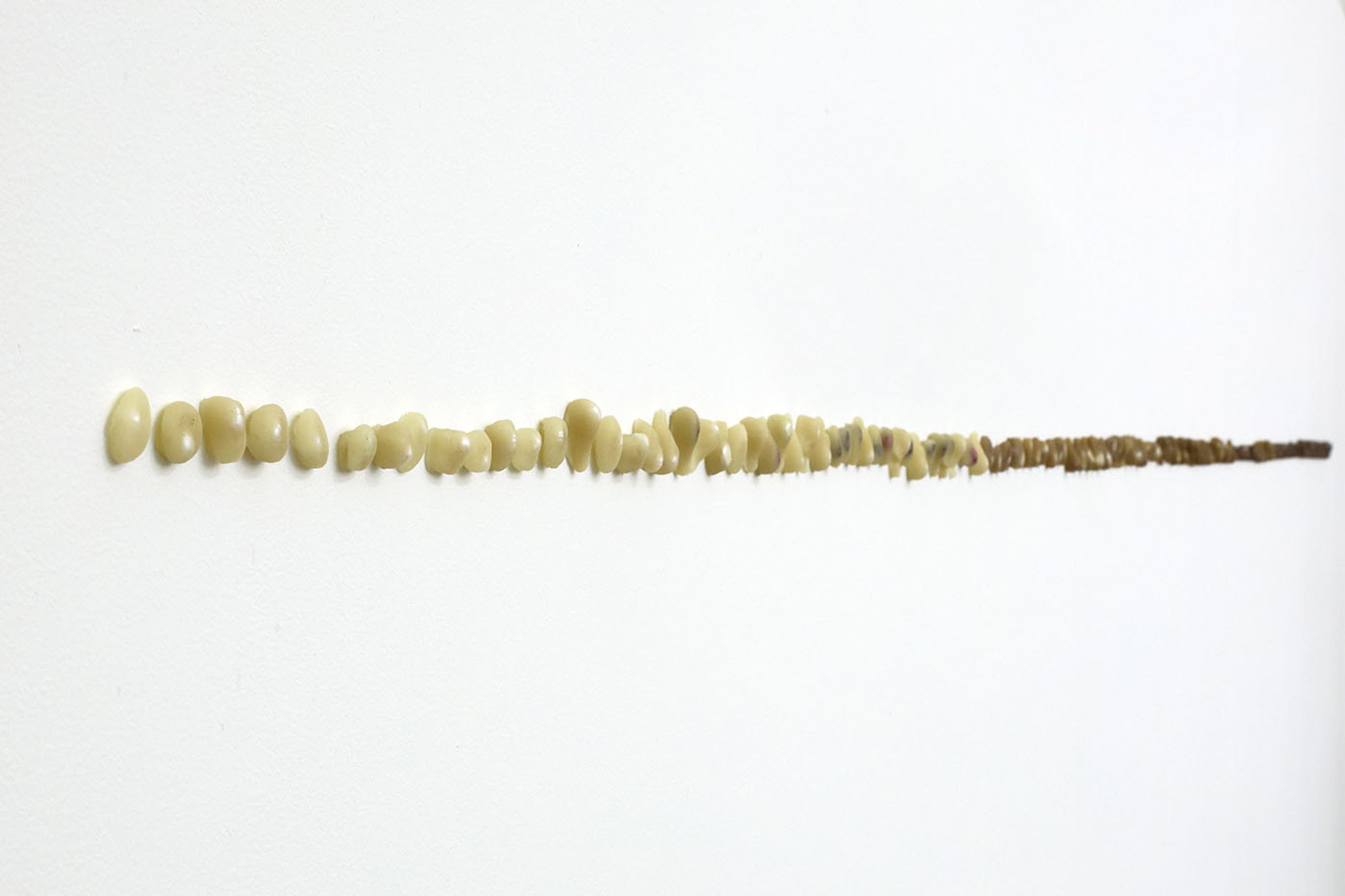 Elisa Berger Melo: Perla en perla (2024). Beeswax with 144 river pearls. Photographer: Leonardo Martínez Hlawacz. Courtesy o PLATABANDA