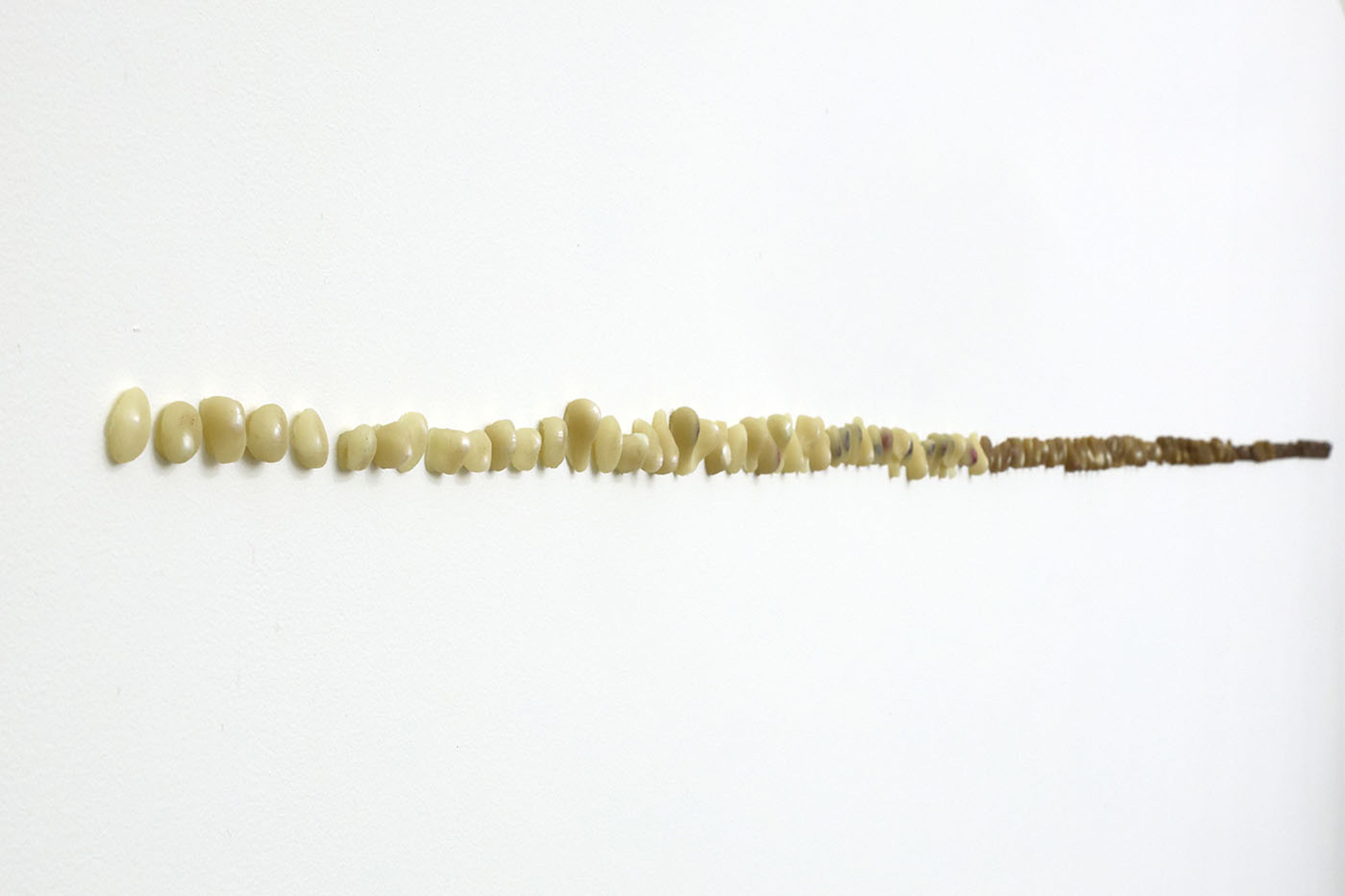 Elisa Berger Melo: Perla en perla (2024). Beeswax with 144 river pearls. Photographer: Leonardo Martínez Hlawacz. Courtesy o PLATABANDA