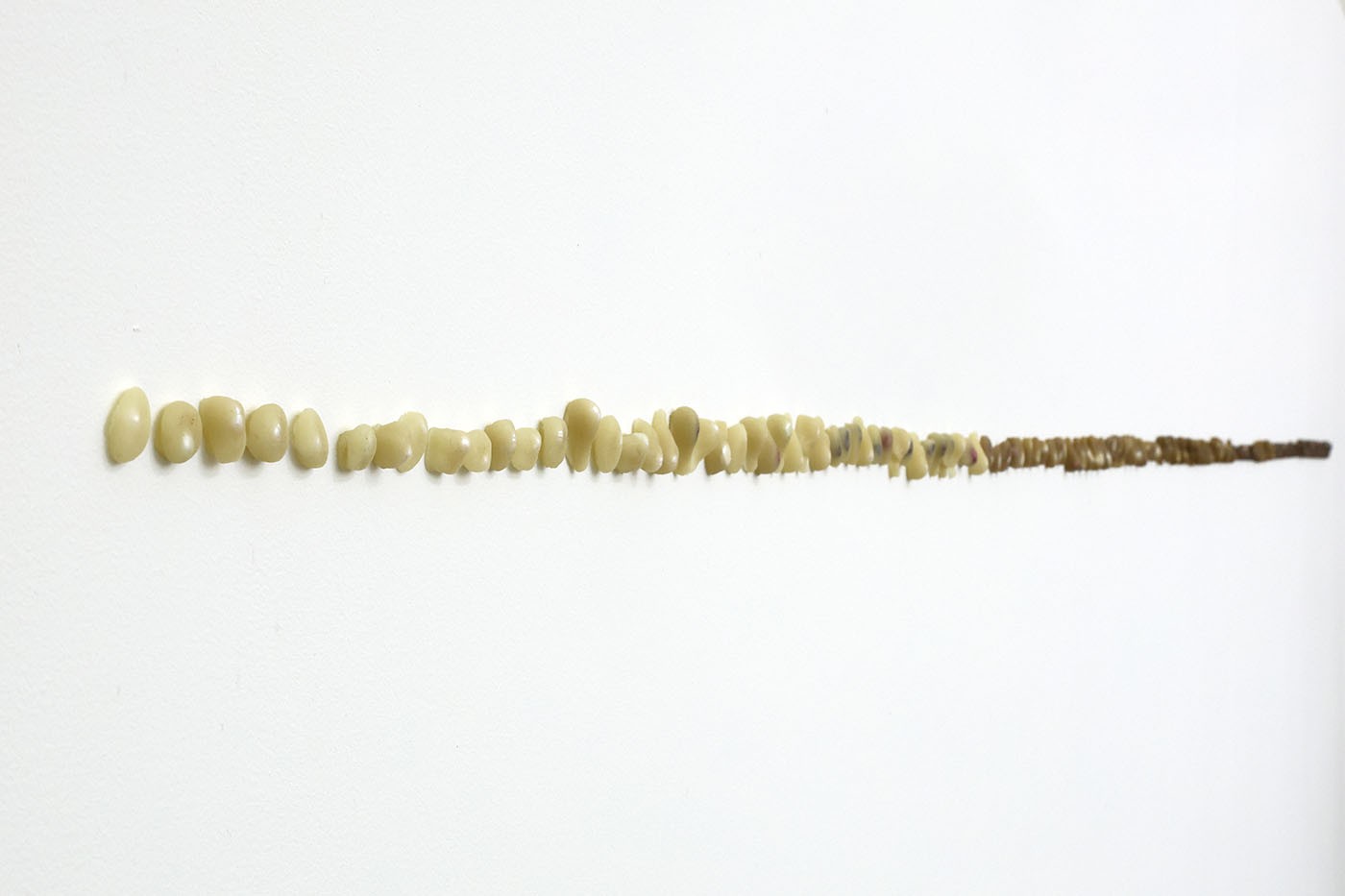 Elisa Berger Melo: Perla en perla (2024). Beeswax with 144 river pearls. Photographer: Leonardo Martínez Hlawacz. Courtesy o PLATABANDA