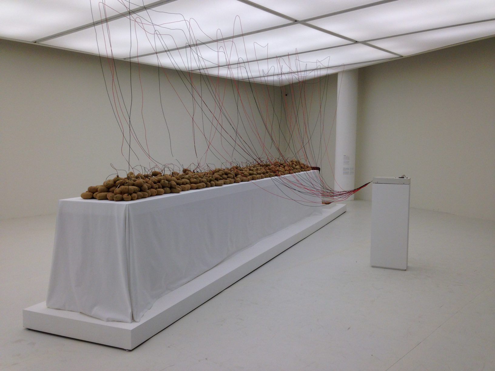 32nd Bienal de São Paulo - Contemporary And