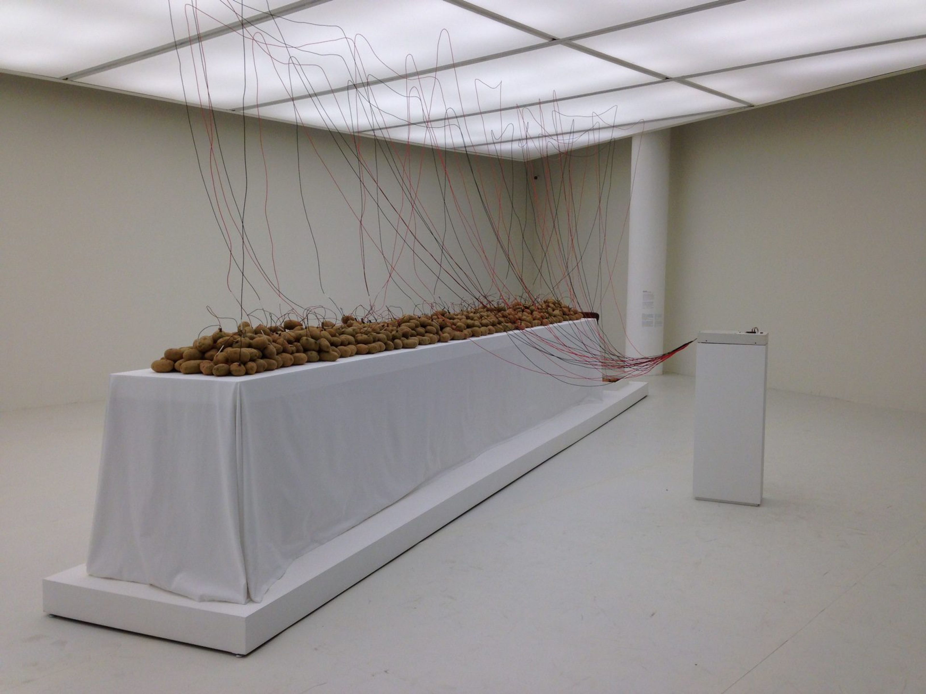 32nd Bienal de São Paulo - Contemporary And
