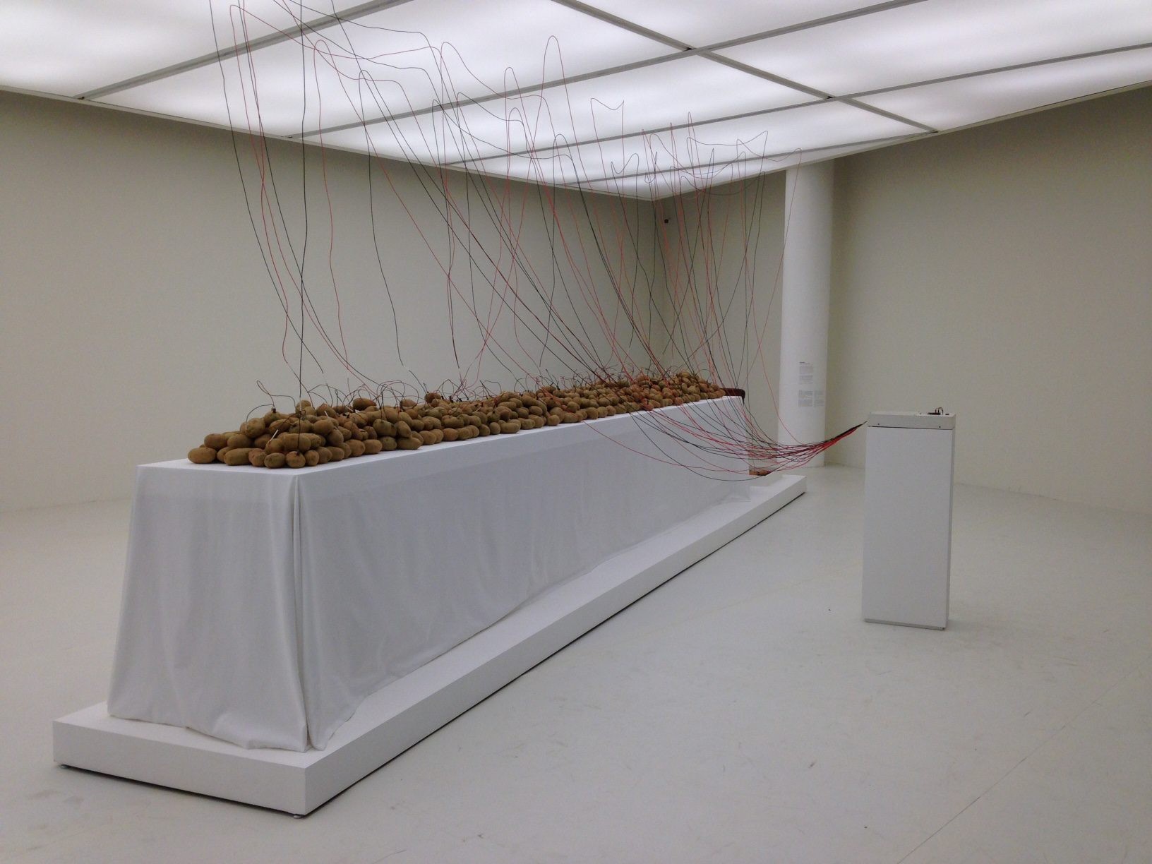 32nd Bienal de São Paulo - Contemporary And