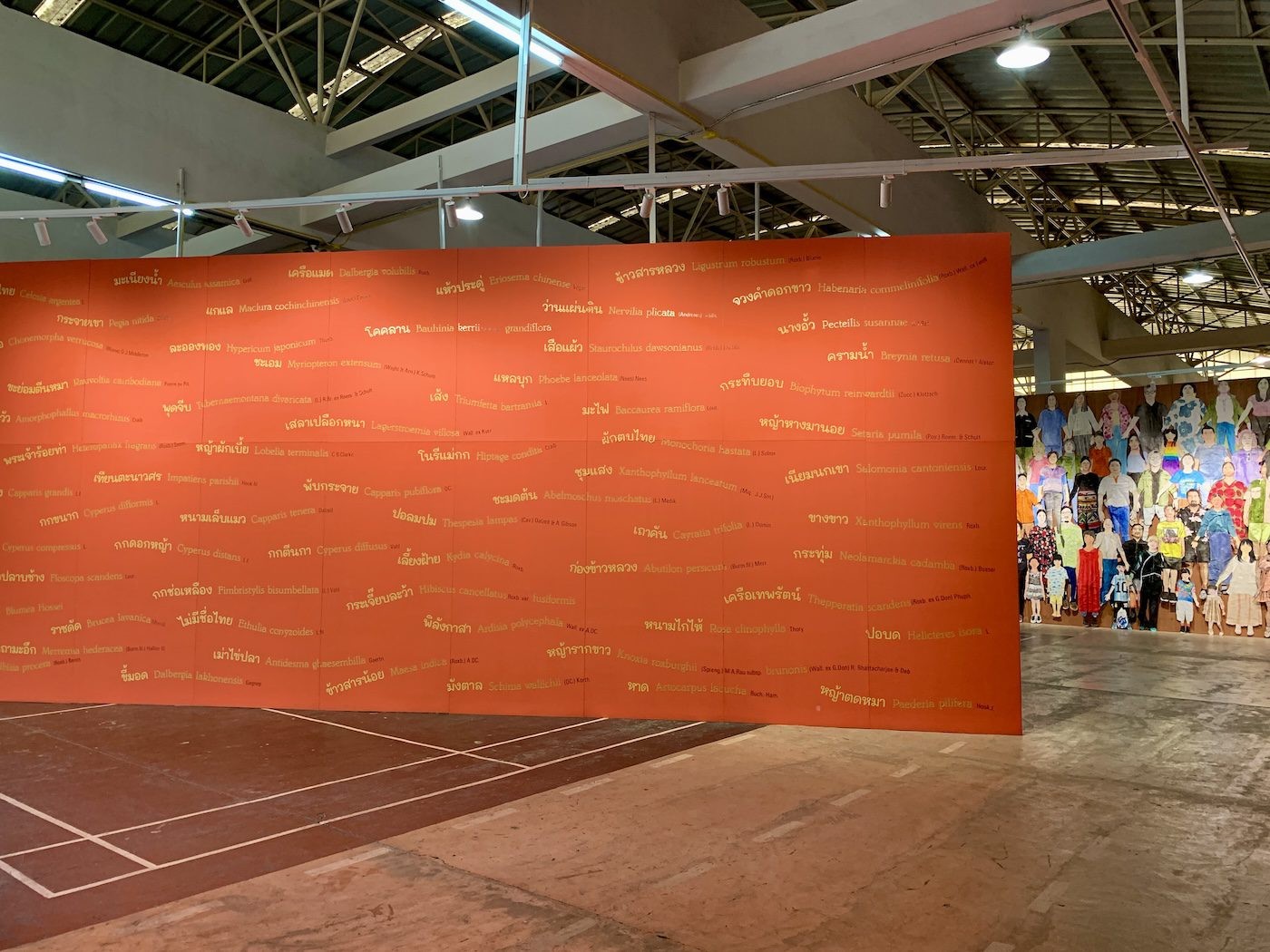 Maria Thereza Alves, Curing Dismembered Knowledges, 2023. For the biennale, Alves focuses on the non-gone forest of the Kok River. Through research in the archives within Thailand and the colonial powers within Europe. she finds traces of the forest and translates them into an installation. In cooperation with Sutti Malithong, biologist form Chiang Rai Rajabhat University. Photo: C&