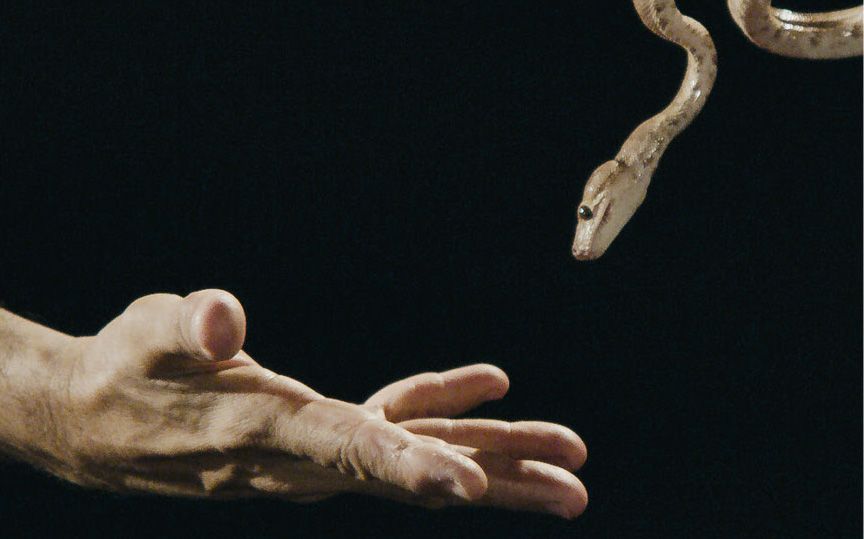 Jonathas de Andrade: O rebote do bote