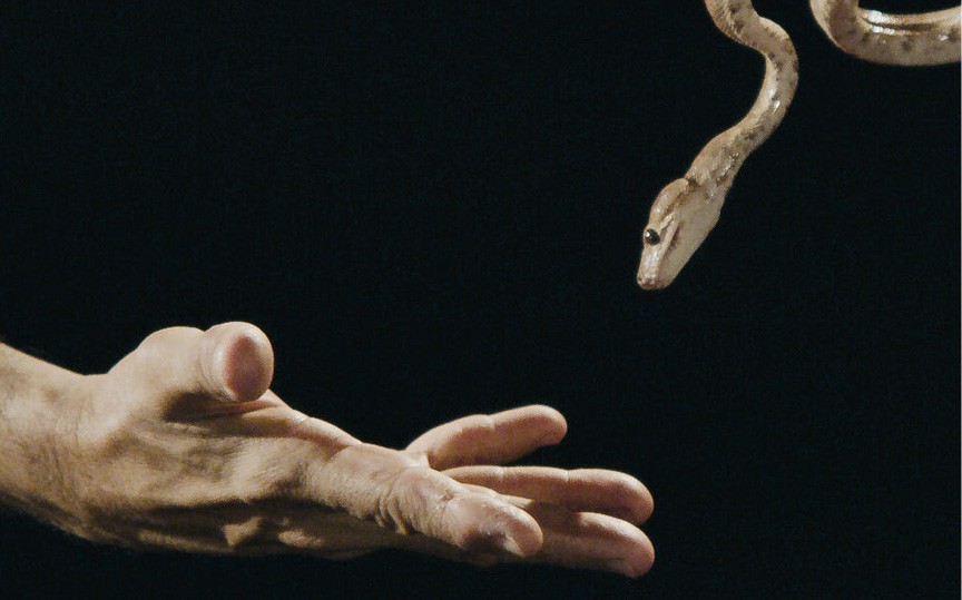 Jonathas de Andrade: O rebote do bote