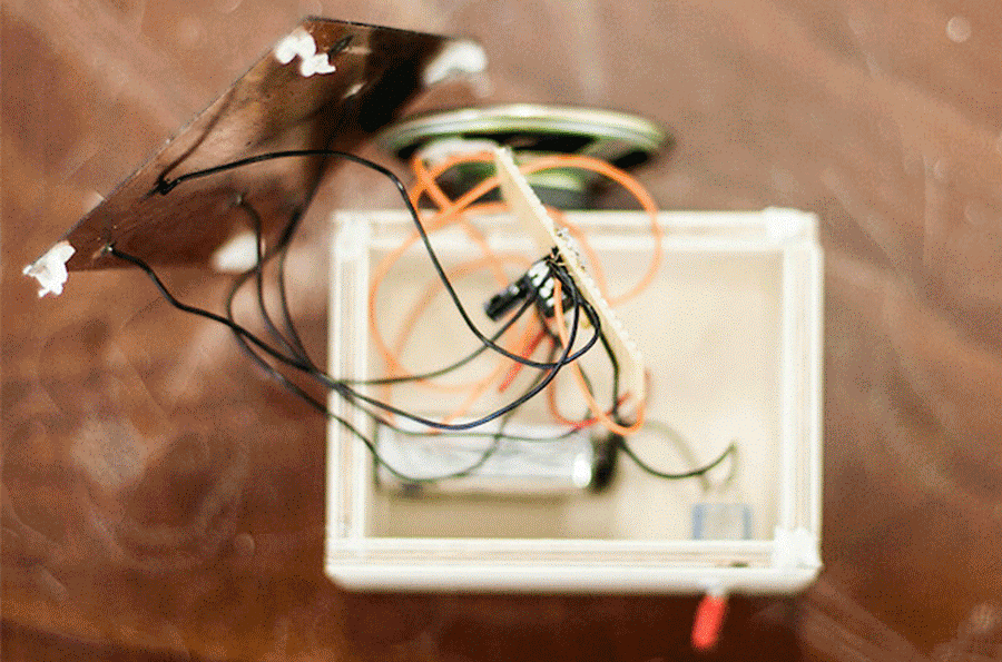 INTERLOOP: Knowledge Transfers: Practices, Reflections, Perspectives