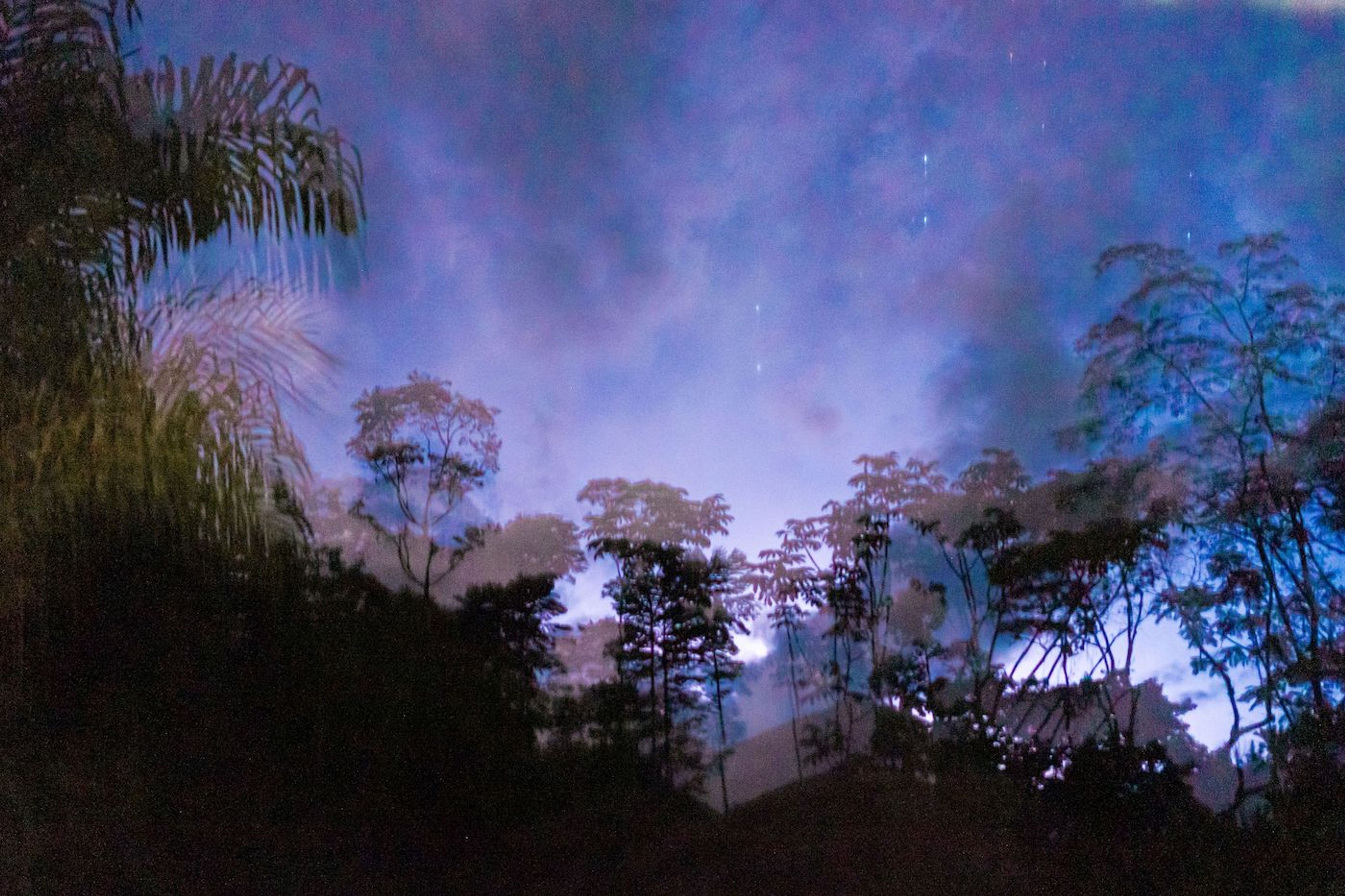 Mentorship programme: Cultural & Artistic Responses to Environmental Change