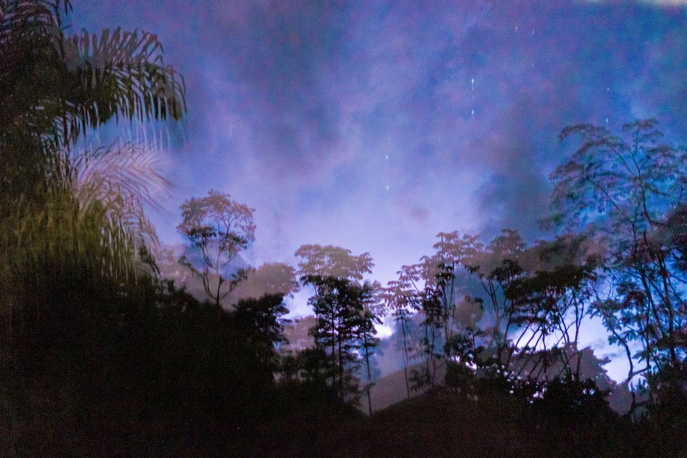 Mentorship programme: Cultural & Artistic Responses to Environmental Change