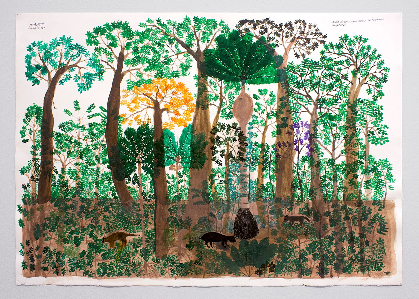 Abel Rodriguez. Courtesy of the artist.