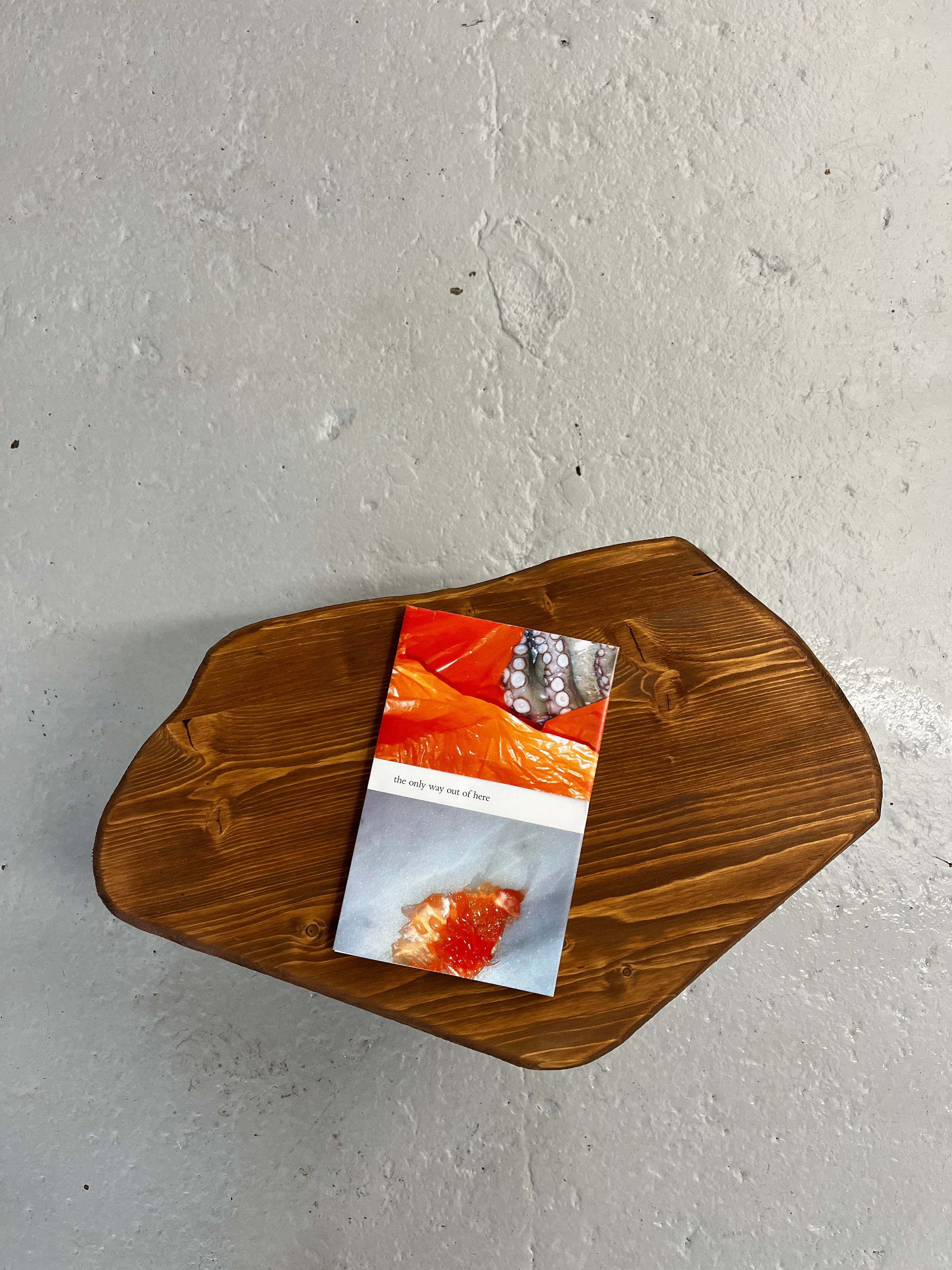 A small book titled "the only way out of here," featuring an octopus tentacle, orange plastic, and red roe on its cover, rests on a dark wooden board.