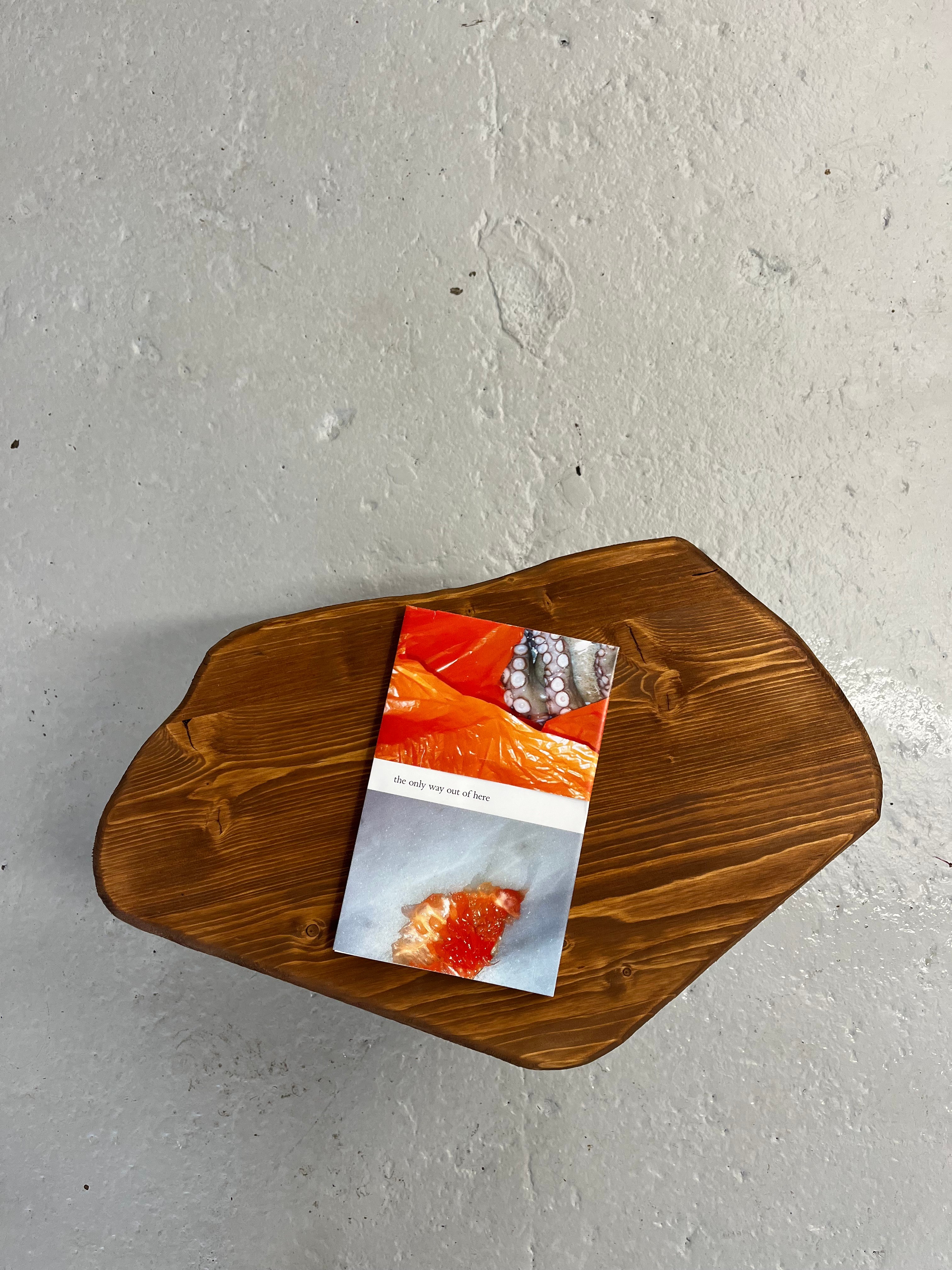A small book titled "the only way out of here," featuring an octopus tentacle, orange plastic, and red roe on its cover, rests on a dark wooden board.