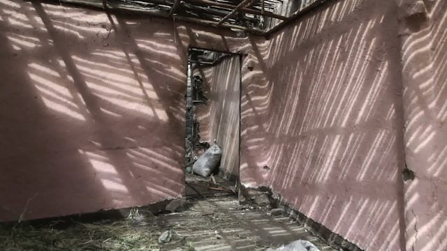 New curators on the block  - Contemporary And