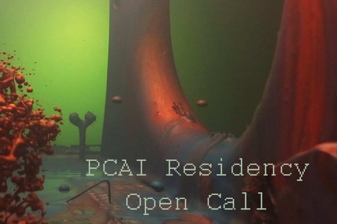 PCAI Residency 2020