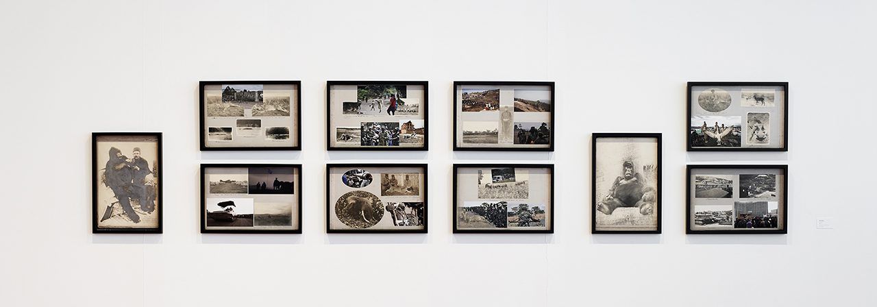 Sammy Baloji / Lotte Arndt: Hunting & Collecting