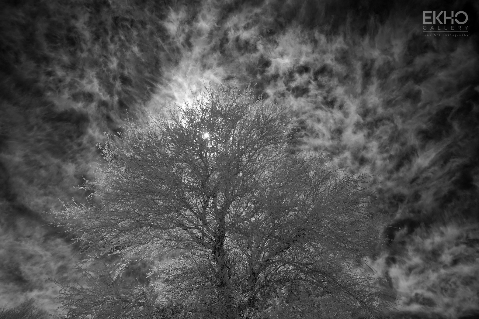 Nicolás Piwonka Zañartu: Cambio climático