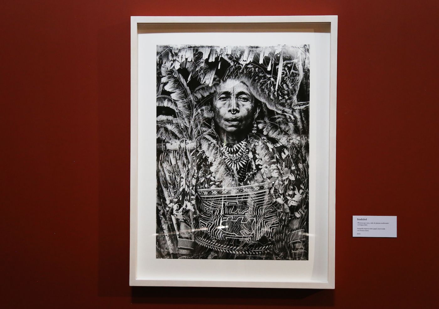 Inaduled (“Person who cures and knows medicinal plants” in Dule language). Printed photograph on paper, mixed techniques, 2018. Photo: Ana Luisa González.