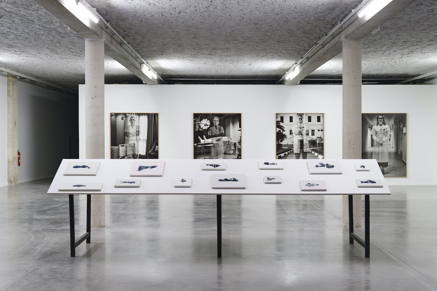 Installation view “Distance ardente”, 2020. Photo Aurélien Mole.