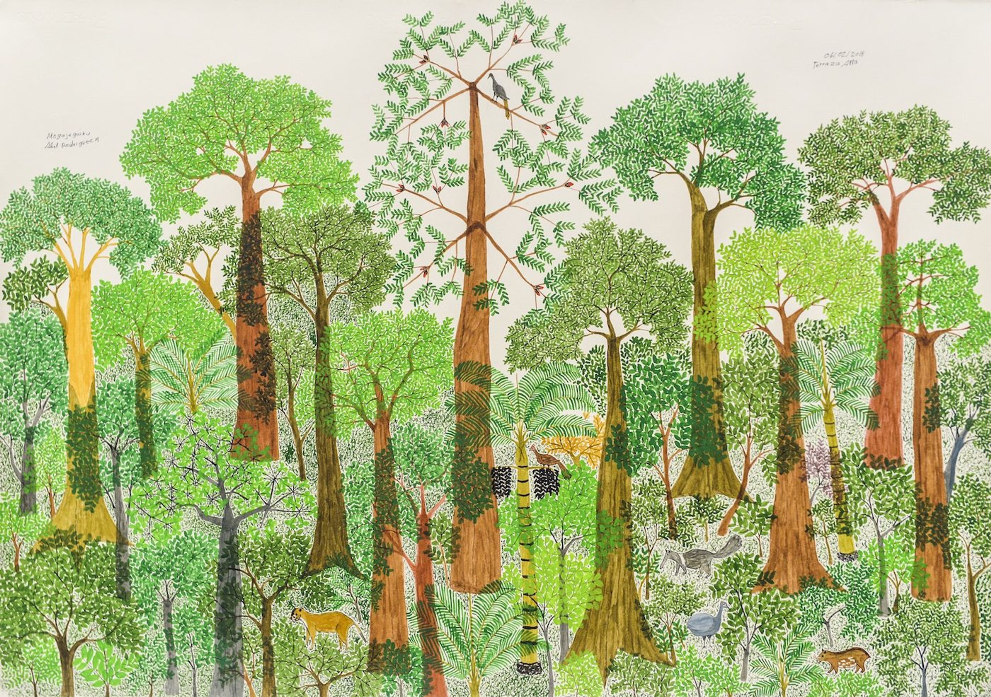 Abel Rodríguez: The Namer of Plants - Contemporary And