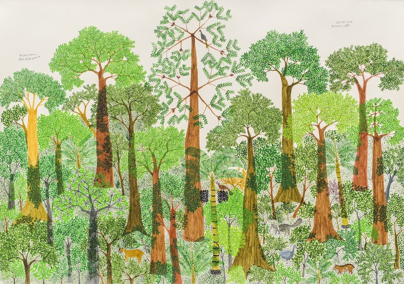 Abel Rodríguez: The Namer of Plants - Contemporary And