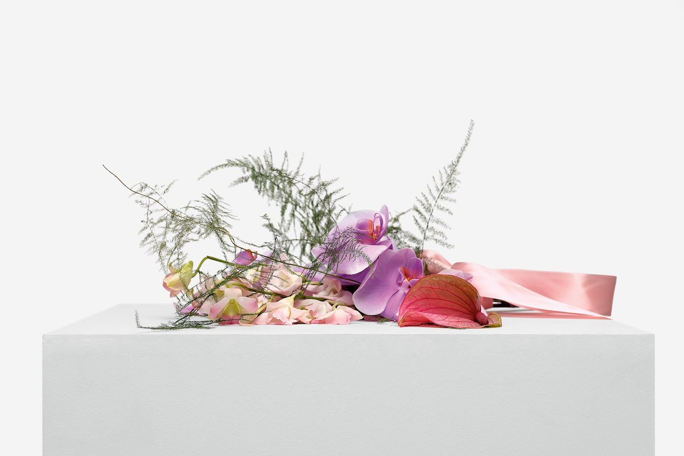 Stories of Almost Everyone