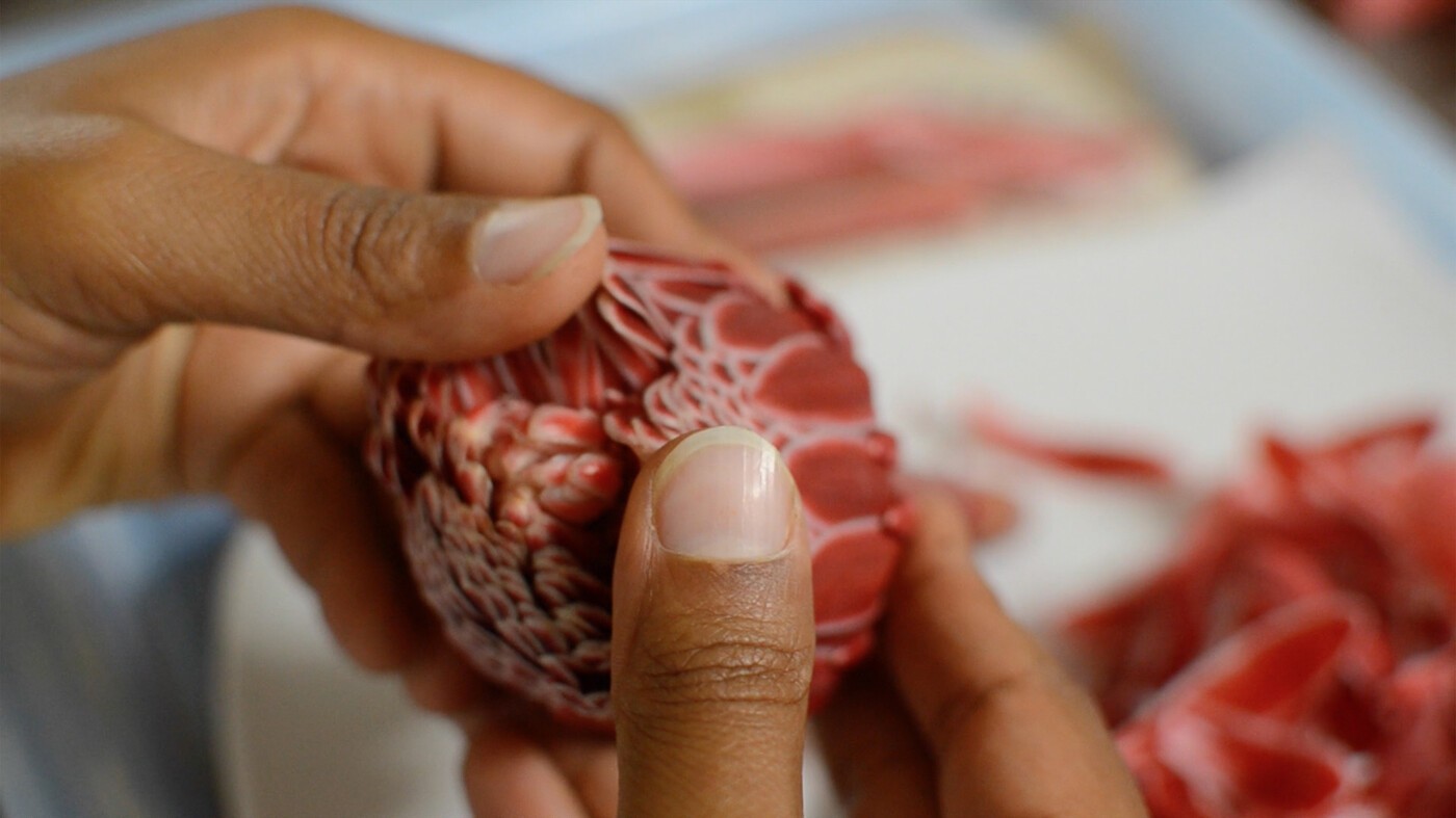 Food, Art & Activism: Nourishing Ourselves and Each Other