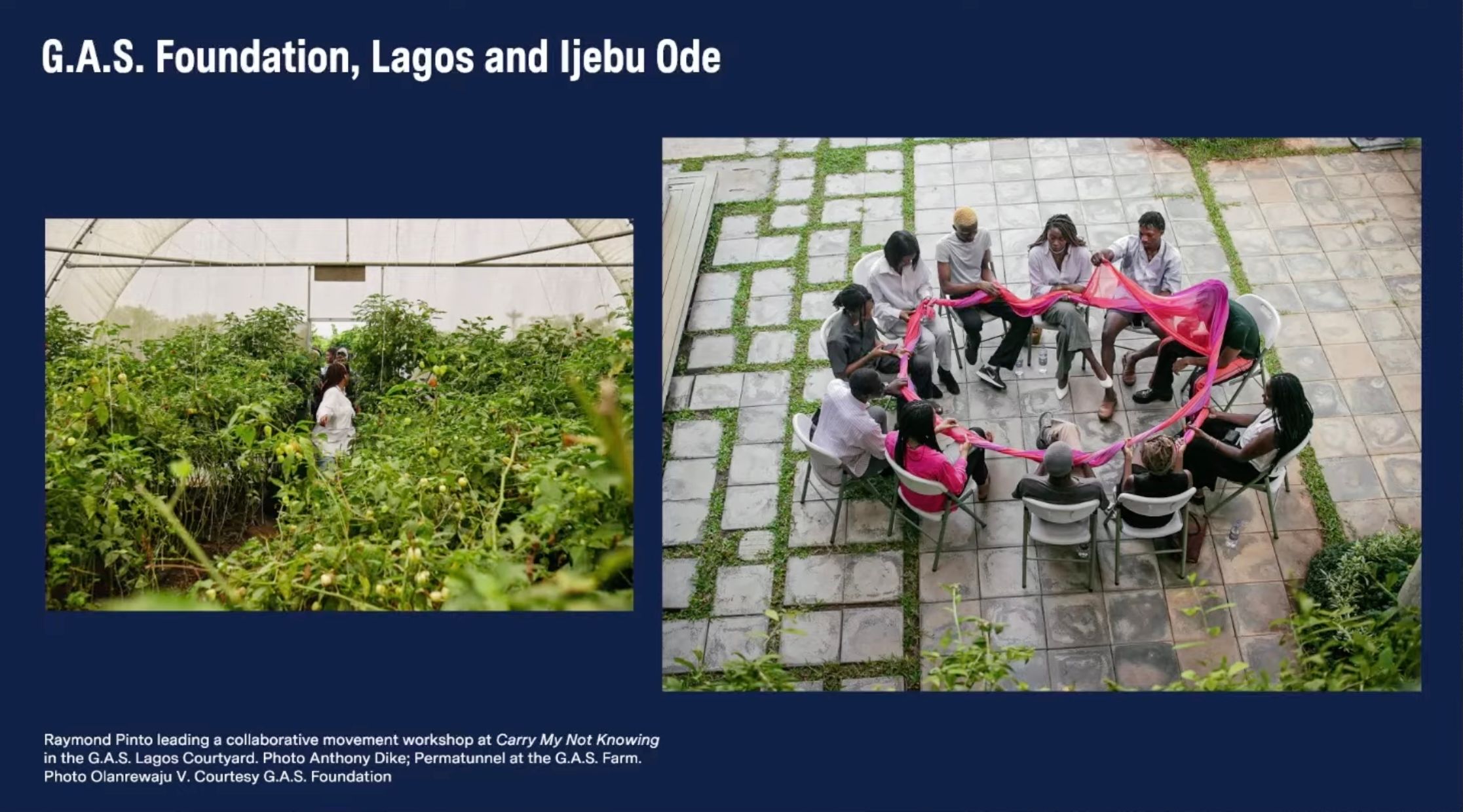 A diptych showing a person in a lush greenhouse on the left, and a group of people sitting in a circle holding a flowing pink fabric on a paved patio on the right.