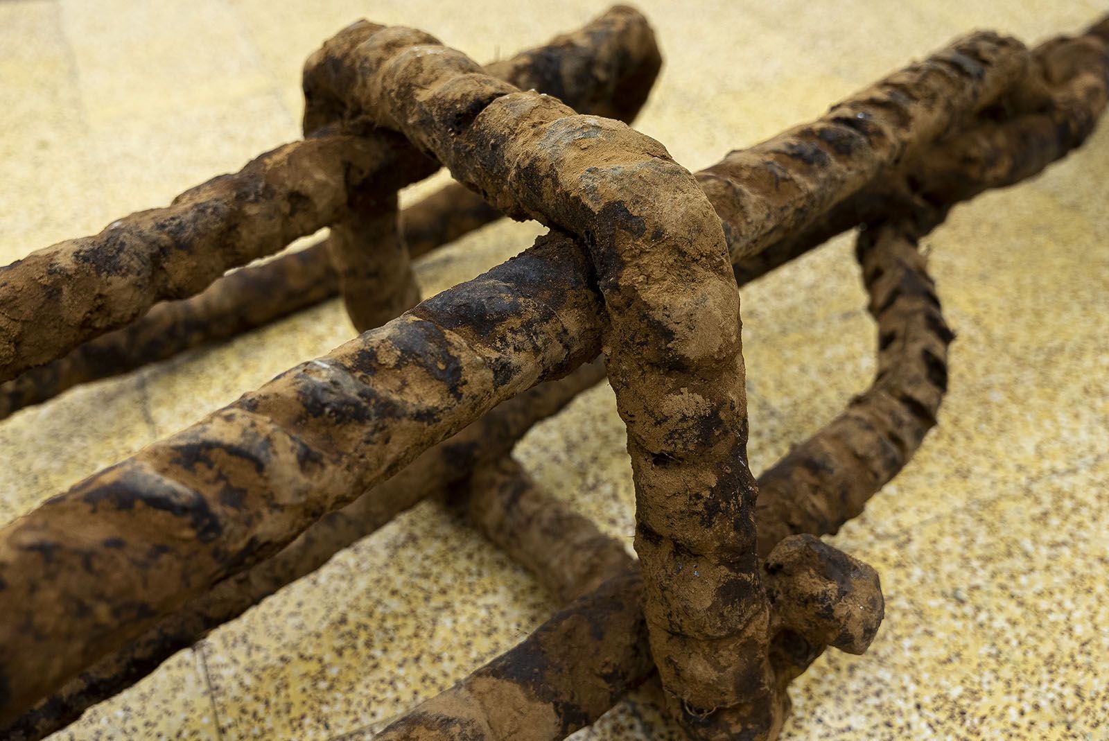 Sofía Salazar Rosales: A Poetic Journey Through the Material