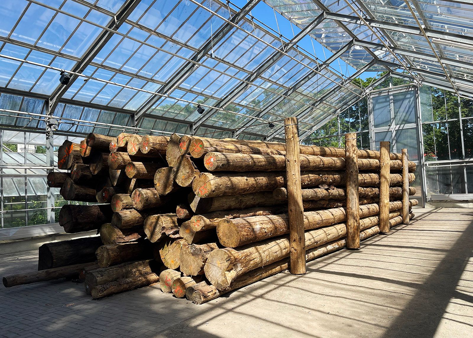 Installation View: Más Arte Más Acción